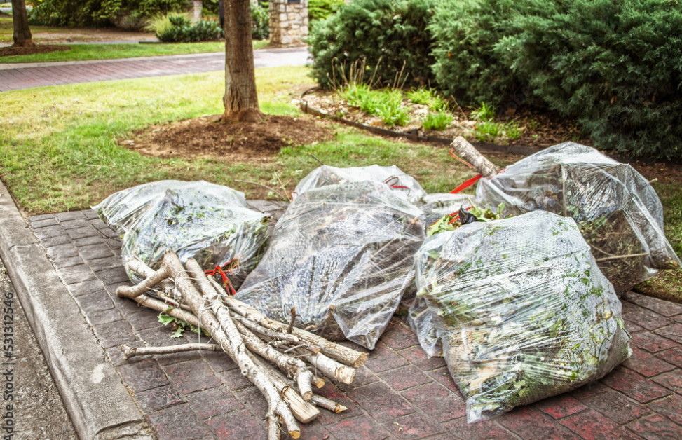 Fall Yard Cleanup Tips for Richmond Homeowners